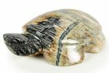 Carved Picasso Marble Turtle - Utah #308639-1